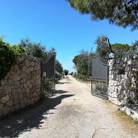 Saha Tourist Among Olive Trees And Sea View 斯佩隆加